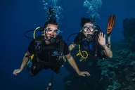 Lahaina Shark and Turtle Dive for Certified Divers thumbnail 3