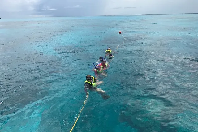 Key Largo Snorkeling Tour - Image 2