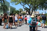 Key West Snorkeling Day Trip from Miami thumbnail 5