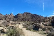 Joshua Tree Natural Wonders Walk thumbnail 6