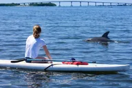 Silver Springs Clear Kayak or Paddleboard Tour thumbnail 6
