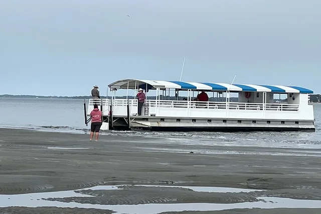 Hilton Head Dolphin Tour with Disappearing Island Stop - Image 4