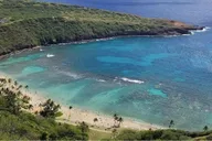 Oahu Pearl Harbor Circle Island Tour thumbnail 5