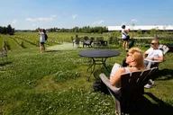 New York City Hamptons and Sag Harbor Day Trip thumbnail 6