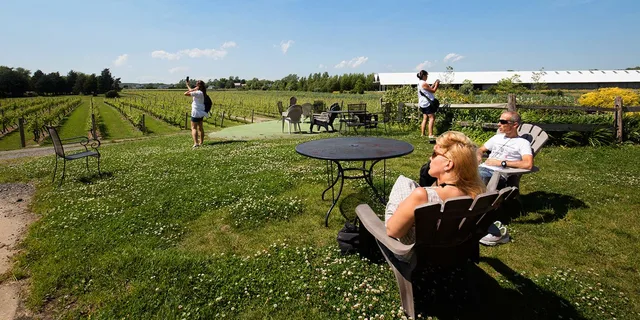 New York City Hamptons and Sag Harbor Day Trip - Image 6