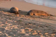 Oahu Circle Guided Tour thumbnail 6