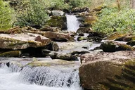 Great Smoky Mountains Hiking Tour thumbnail 2