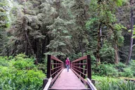 Olympic National Park Private Day Tour with Lunch thumbnail 5
