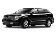 Chicago Sightseeing Transfer by Private Sedan thumbnail 4