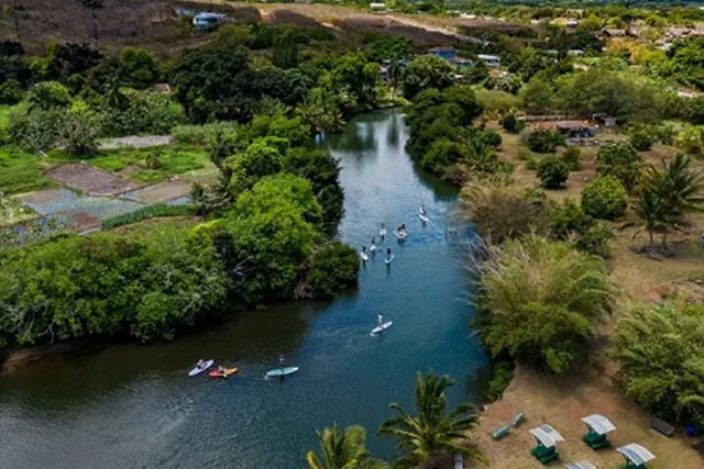 Oahu Anahulu River Kayak and SUP Adventure - Image 2