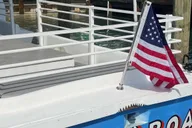 Destin Dolphin Watching and Sunset Cruise thumbnail 5