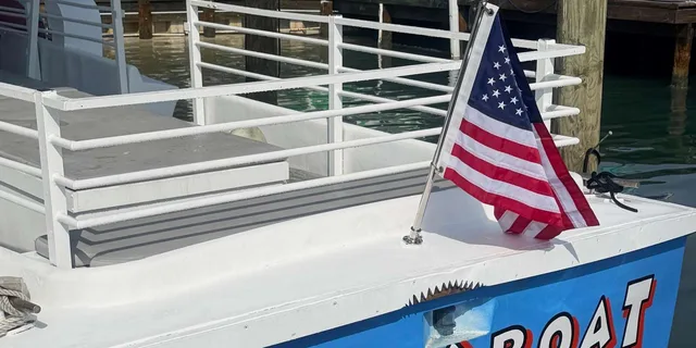 Destin Dolphin Watching and Sunset Cruise - Image 5