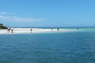 Everglades Shell Wildlife Eco Excursion thumbnail 2
