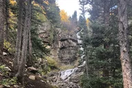 Durango Scenic Waterfall Jeep Tour 2.5 hr thumbnail 6