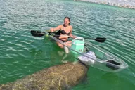 Sarasota Clear Kayak Mangrove Tunnel Eco Tour 2 hr thumbnail 4