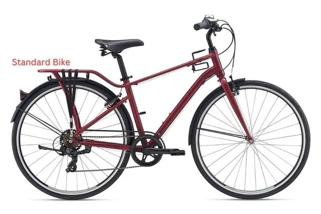 Los Angeles Bike Rental: Pedal or Electric Options - Image 3