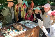 San Francisco Muir Woods and Sausalito Tour thumbnail 4