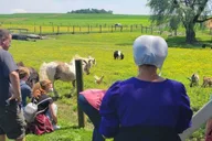 Lancaster Amish Immersion Experience 3 hr thumbnail 3