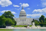 Washington DC Sightseeing Tour 4 hr thumbnail 1