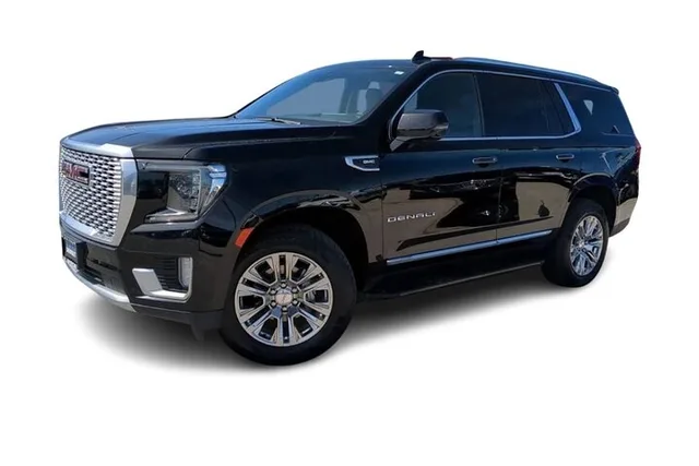 Las Vegas Private Transfer with Personal Driver - Image 1