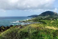 Honolulu Private Walking Tour thumbnail 6