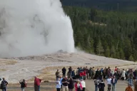 West Yellowstone Lower Loop Van Tour thumbnail 5