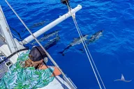 Waikiki Private Sailing Catamaran thumbnail 4