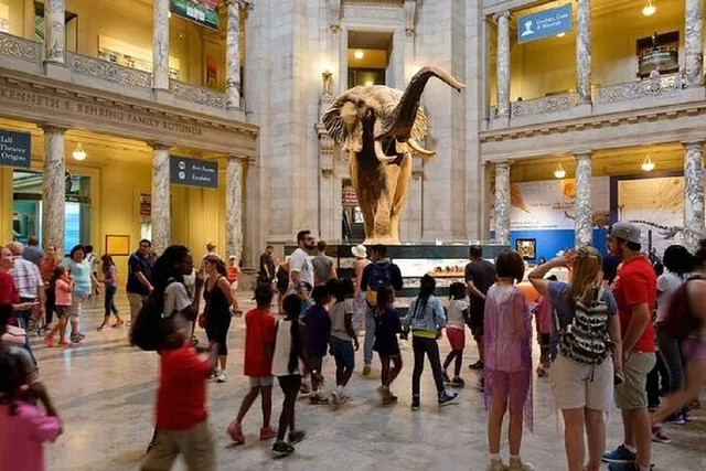 Washington D.C. Smithsonian Museum Chinese Tour 1.5 hr - Image 6