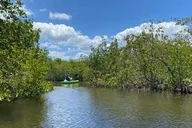 Tarpon Springs Kayak Eco Tour 2 hr thumbnail 5