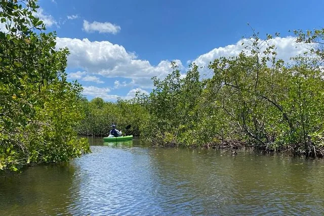 Tarpon Springs Kayak Eco Tour 2 hr - Image 5