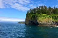 Sitka Scenic Wildlife Boat Excursion thumbnail 5