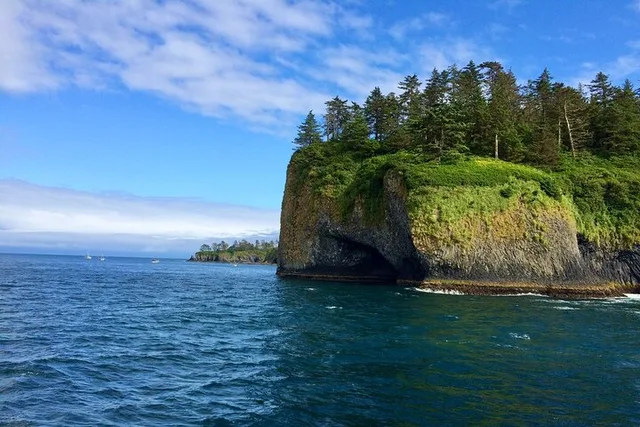 Sitka Scenic Wildlife Boat Excursion - Image 5