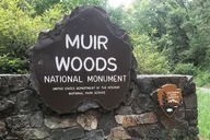 San Francisco Muir Woods and Sausalito Tour thumbnail 1