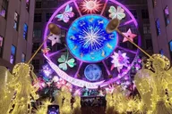 New York Central Park Christmas Lights Carriage Ride 45 min thumbnail 6