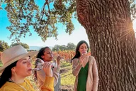 Santa Ynez Private Wine Tour thumbnail 1