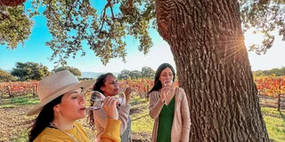 Santa Ynez Wine Tour