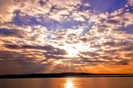 Marina del Rey Dinner Cruise thumbnail 5