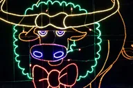 Branson Christmas Lights Drive-Thru thumbnail 6