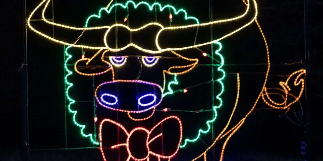 Branson Christmas Lights Drive-Thru - Image 6