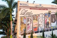 Miami City SUV Tour thumbnail 3