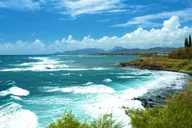 Kauai River Cruise and Lighthouse Tour thumbnail 5