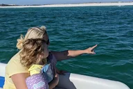 Panama City Beach Dolphin Tour Guided by Marine Biologist 2 hr thumbnail 5