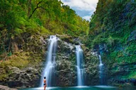 Maui Road to Hana Waterfalls Tour with Lunch thumbnail 3