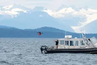 Hoonah Whale Watching and Drone Experience thumbnail 1
