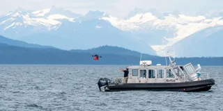 Hoonah Whale Watching and Drone Experience