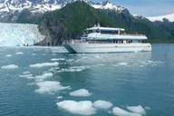 Seward Wildlife and Glacier Cruise 4 hr thumbnail 3