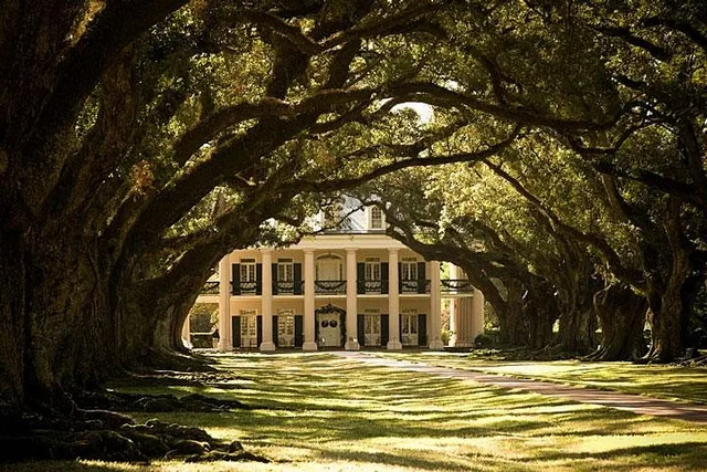 New Orleans Oak Alley Plantation and Airboat Tour - Image 1