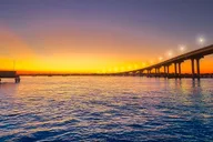 St. Augustine Wildlife and Lights Eco Tour thumbnail 6
