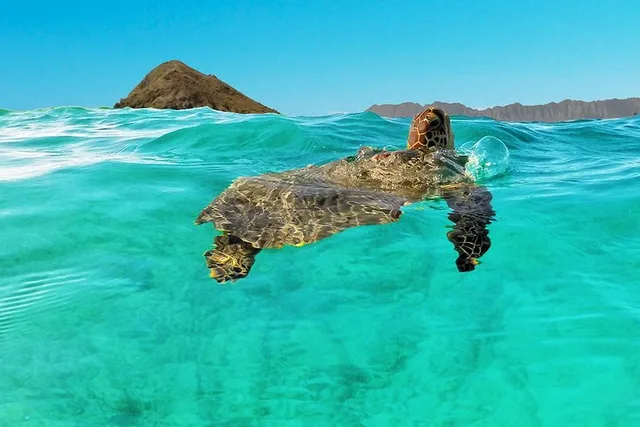 Kailua Self-Guided Kayaking Discovery - Image 1