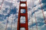 San Francisco Muir Woods and Sausalito Tour 4 hr thumbnail 4